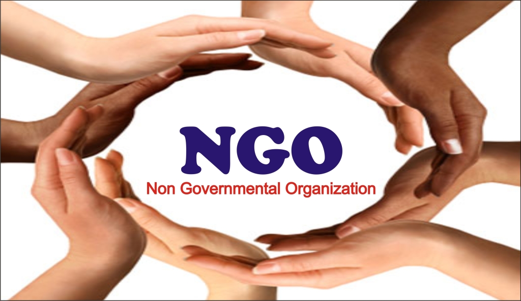 NGOs And The Larger Picture Of Indian Democracy Development And 